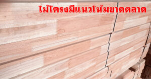 ไม้โครง